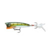 Yellow Perch (YP)