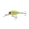 Fluor Yellow Tiger