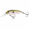 Electric Shad