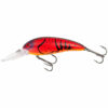 Mad Craw
