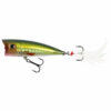 Smelt
