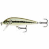 Artistic Minnow (AMN)