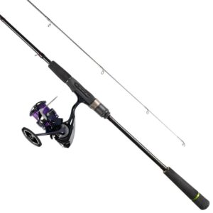 Daiwa Prorex S Haspelcombo