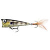 Glassy Gill UV (GGIU)