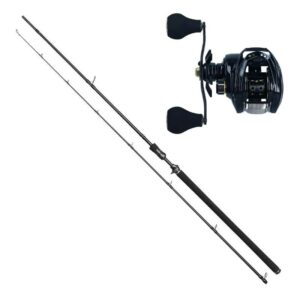 Westin Powercast Combo 8'3¨40 -130g LH