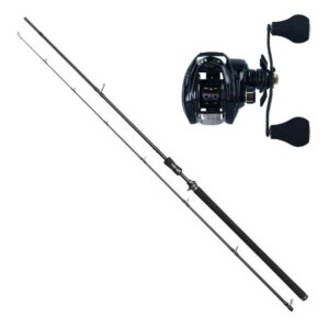 Westin Powercast Combo 8'3¨40 -130g RH