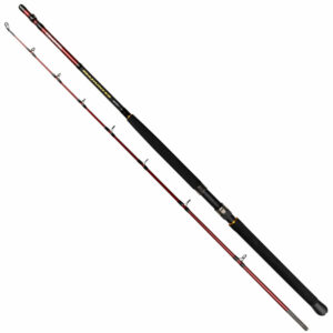 Daiwa Seahunter Havsfiskespö