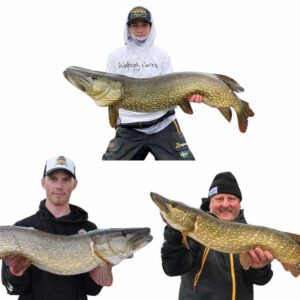 Fiska.nu Väljer - Gäddpaket