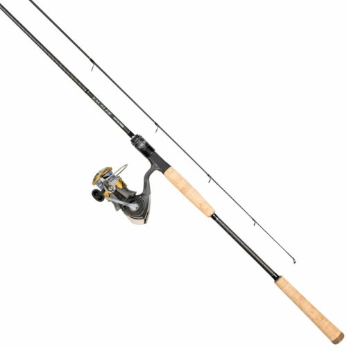 Daiwa Exceler Put & Take Combo