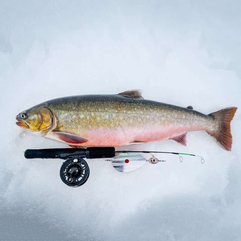 Hurricane Ice Sight 41cm