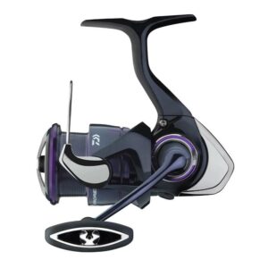 Daiwa 25 Prorex V LT 2000