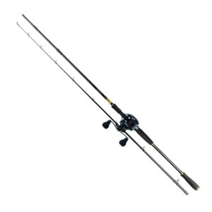 Daiwa Proteus 150HL 7'7'' / 30-80g Gäddkombo