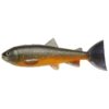 Arctic Char
