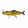 Dirty Whitefish
