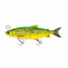 Fire Whitefish