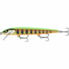 Gilded Chartreuse Yamame (GDCY)