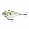 Green Gizzard Shad (GGSD)