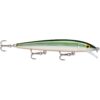Tennessee Shad (TSD)