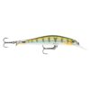 Yellow Perch (YP)