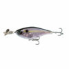 Ghost Shad