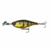 Yellow Perch