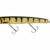 3D Amber Perch