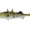 Stickleback