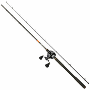 Daiwa TD Pike G5 Spinncombo 8'4'' / 70-180g LH
