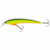 Unstriped Perch UV