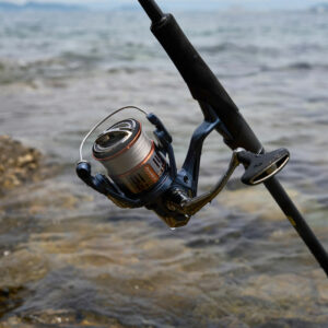 Shimano Nasci FD