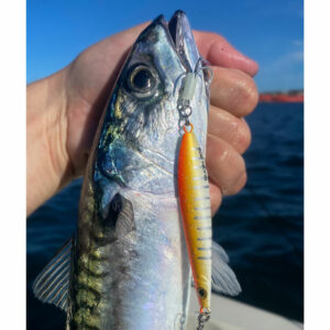 Hurricane Hugin Kastpilk 8,5cm / 30g