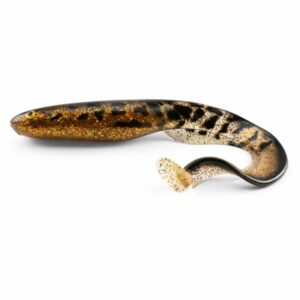 Gator Catfish 25cm
