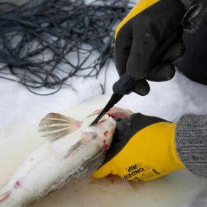 Marttiini Fish Cleaner Renskniv