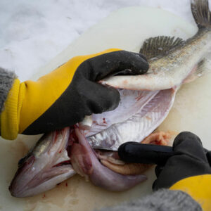 Marttiini Fish Cleaner Renskniv