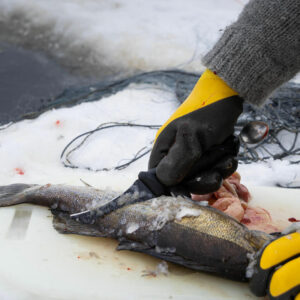 Marttiini Fish Cleaner Renskniv